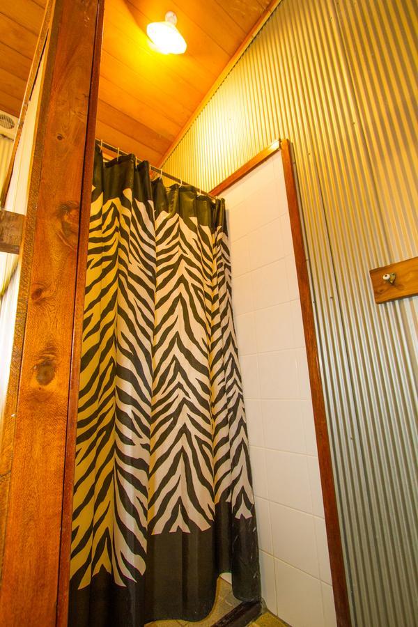 Apartment 1770 Shacks